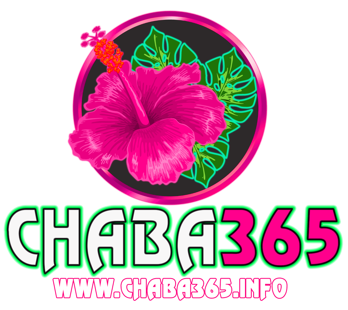 chaba365